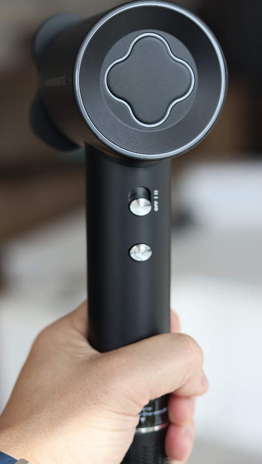 sansbeaute ionische fohn review