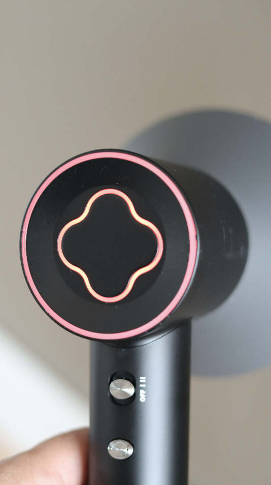 sansbeaute ionische fohn review