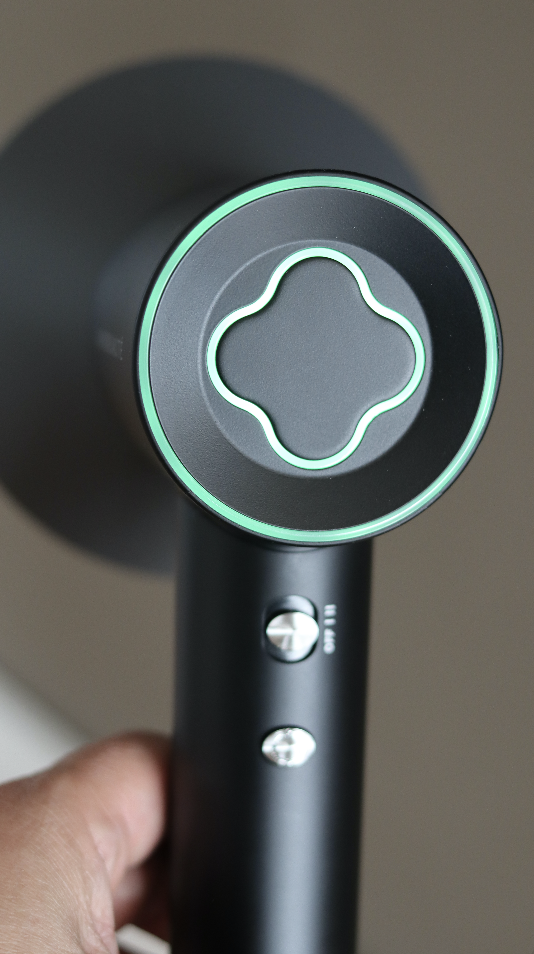 sansbeaute ionische fohn review