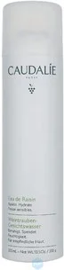 beste face mist